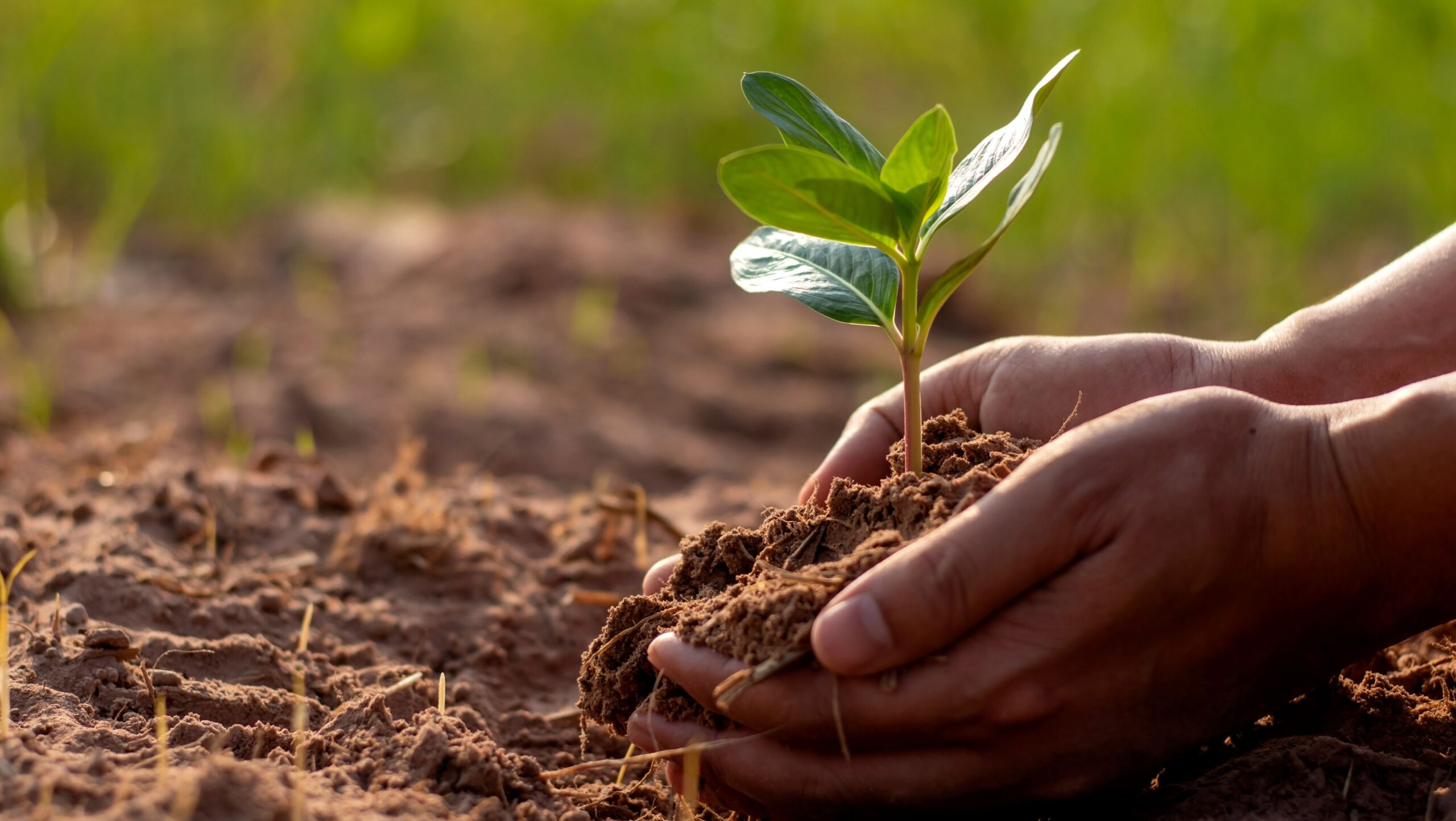 Soil management techniques