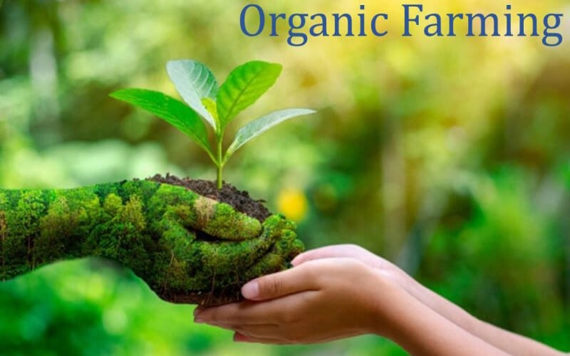 Basic organic farming principles